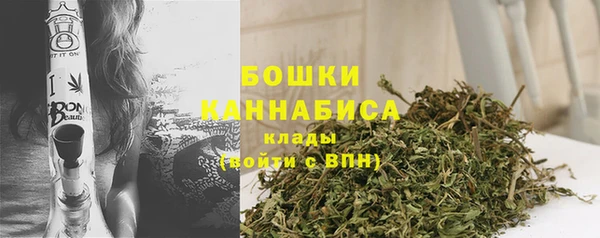 дживик Аркадак